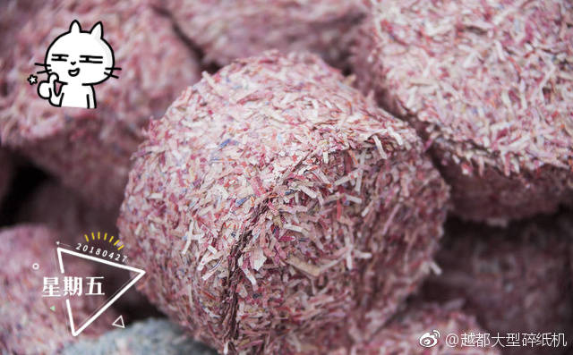 人民幣粉碎 鈔票保密銷毀 鈔...